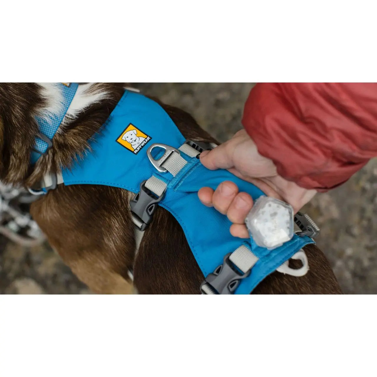 Ruffwear Flagline Harness Blue Dusk Small Pedigree