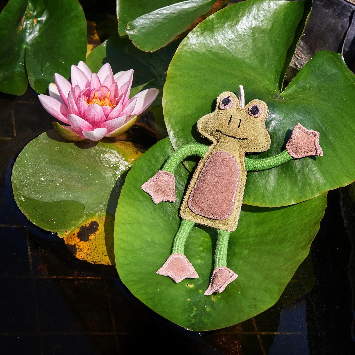 Green & Wild's Francois Le Frog Dog Toy Green & Wild's