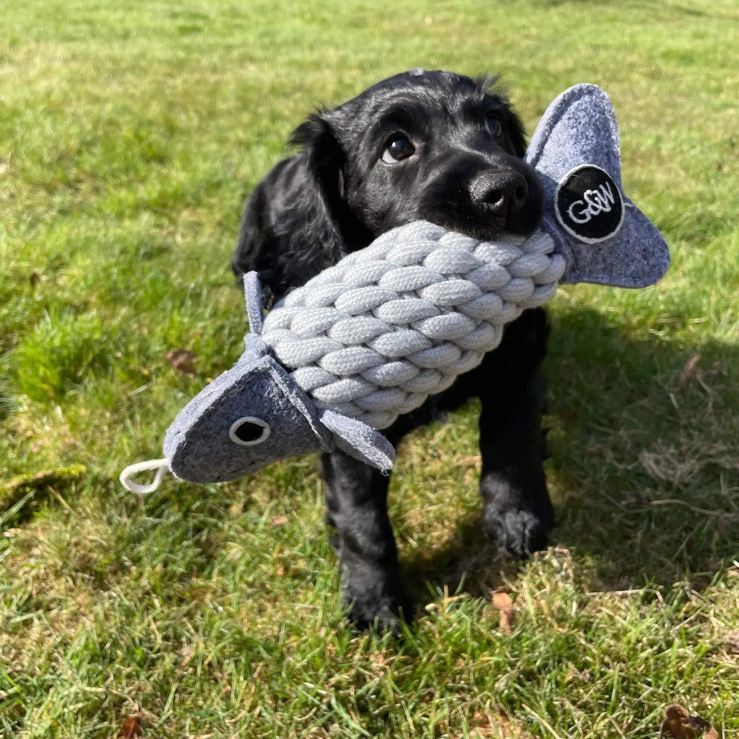 Green & Wild's Roger the Ropefish Dog Toy Green & Wild's