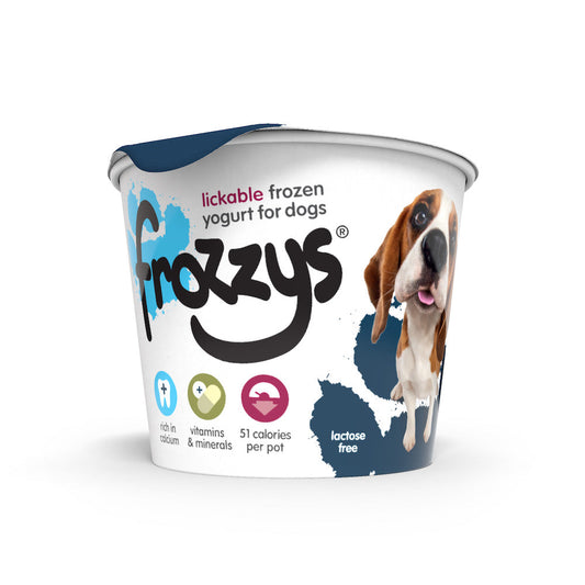 Frozzys Blueberry Frozen Yogurt For Dogs 85g