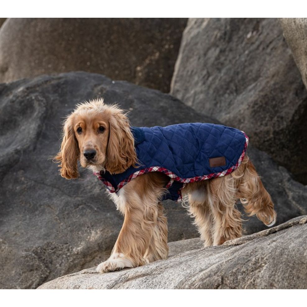 Great And Small Country Weather Resistant Jacket Plait Navy 51cm