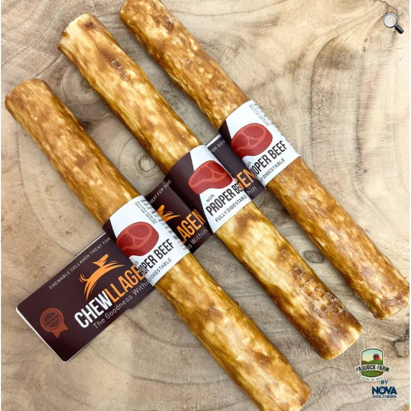 Chewllagen Beef Roll 10” Origin Pets Longton