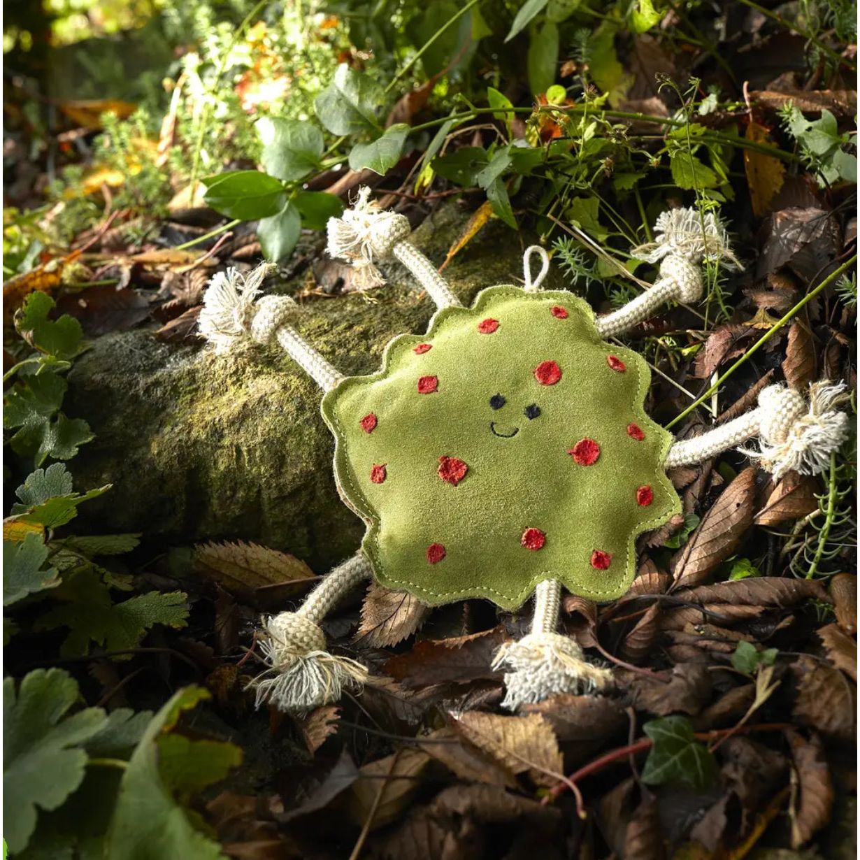 Green & Wilds Splodge Eco Dog Toy Green & Wild's