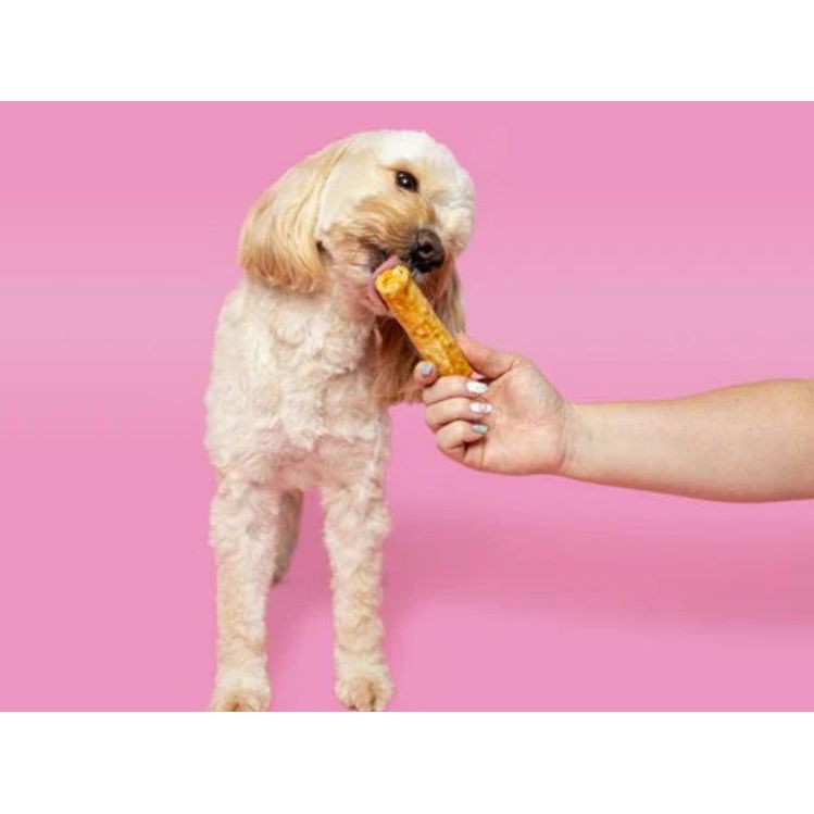 Pawtential Collagen Chew Beef Flavour Medium 70g Origin Pets Longton