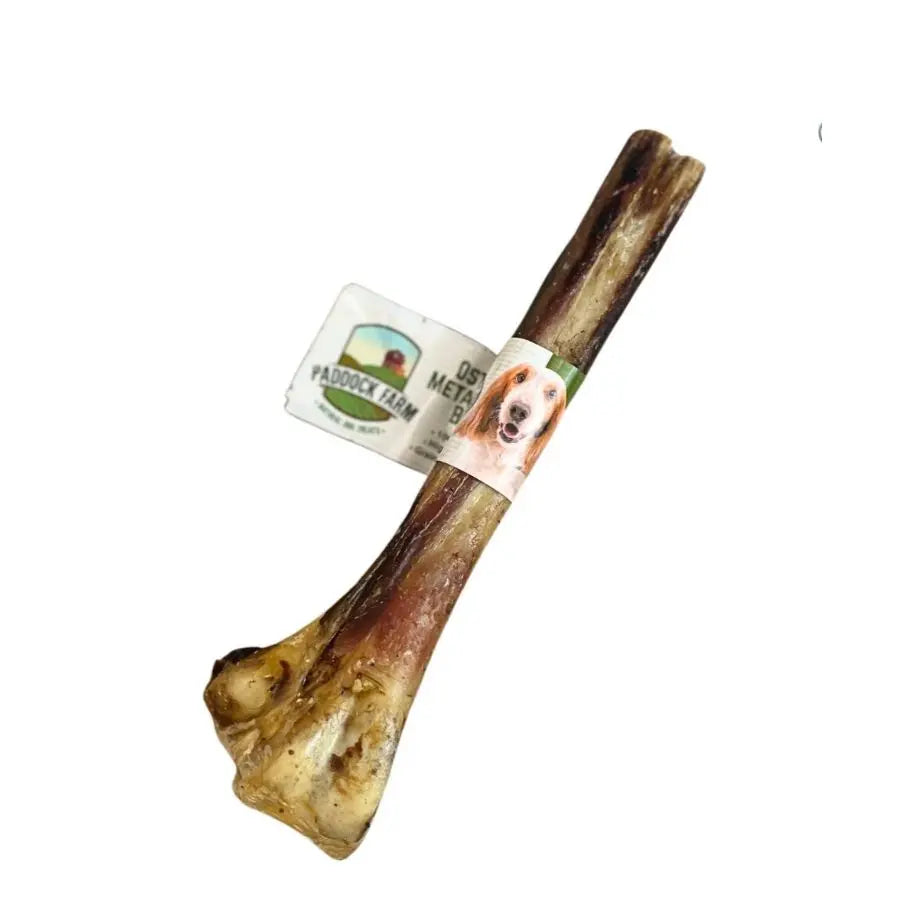 Ostrich Metatarsus Bone Origin Pets Longton