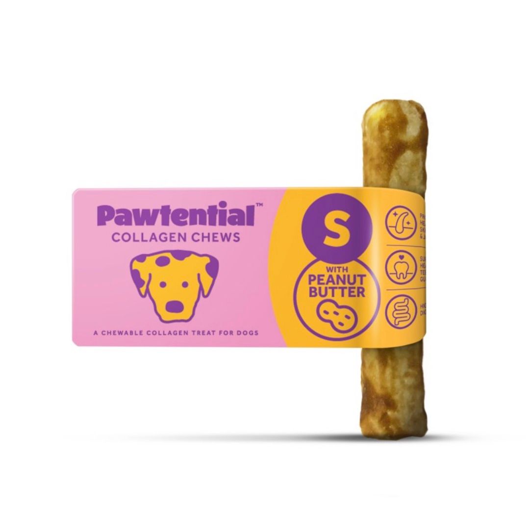 Pawtential Collagen Dog Chew Peanut Flavour Small 36g