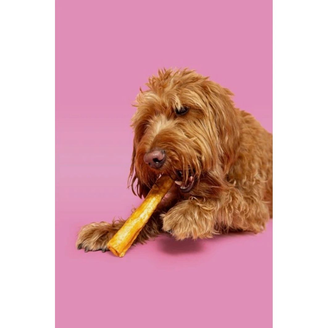 Pawtential Collagen Chew Chicken Large 110g
