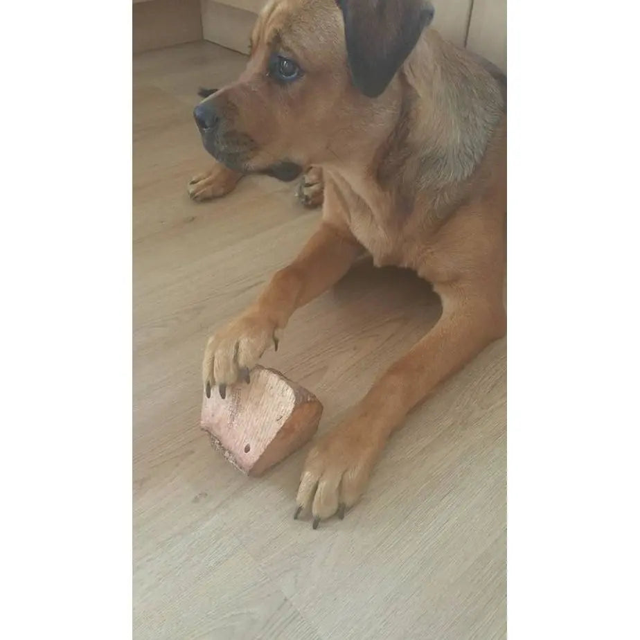 Origin Roots Natural Dog Chew Origin Roots