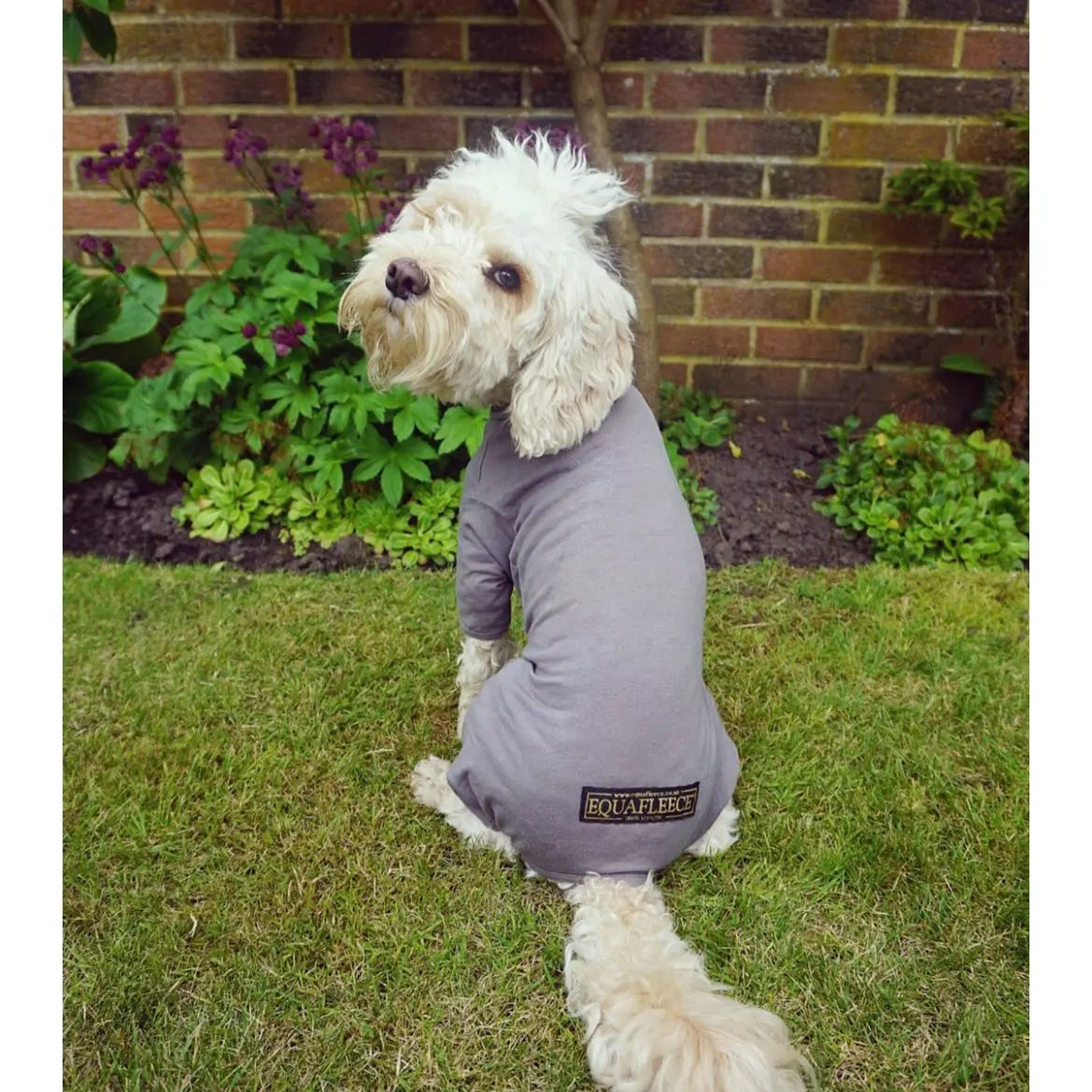 Equafleece Summer Suit Dog Coat Dark Green Size 22 Origin Pets Longton
