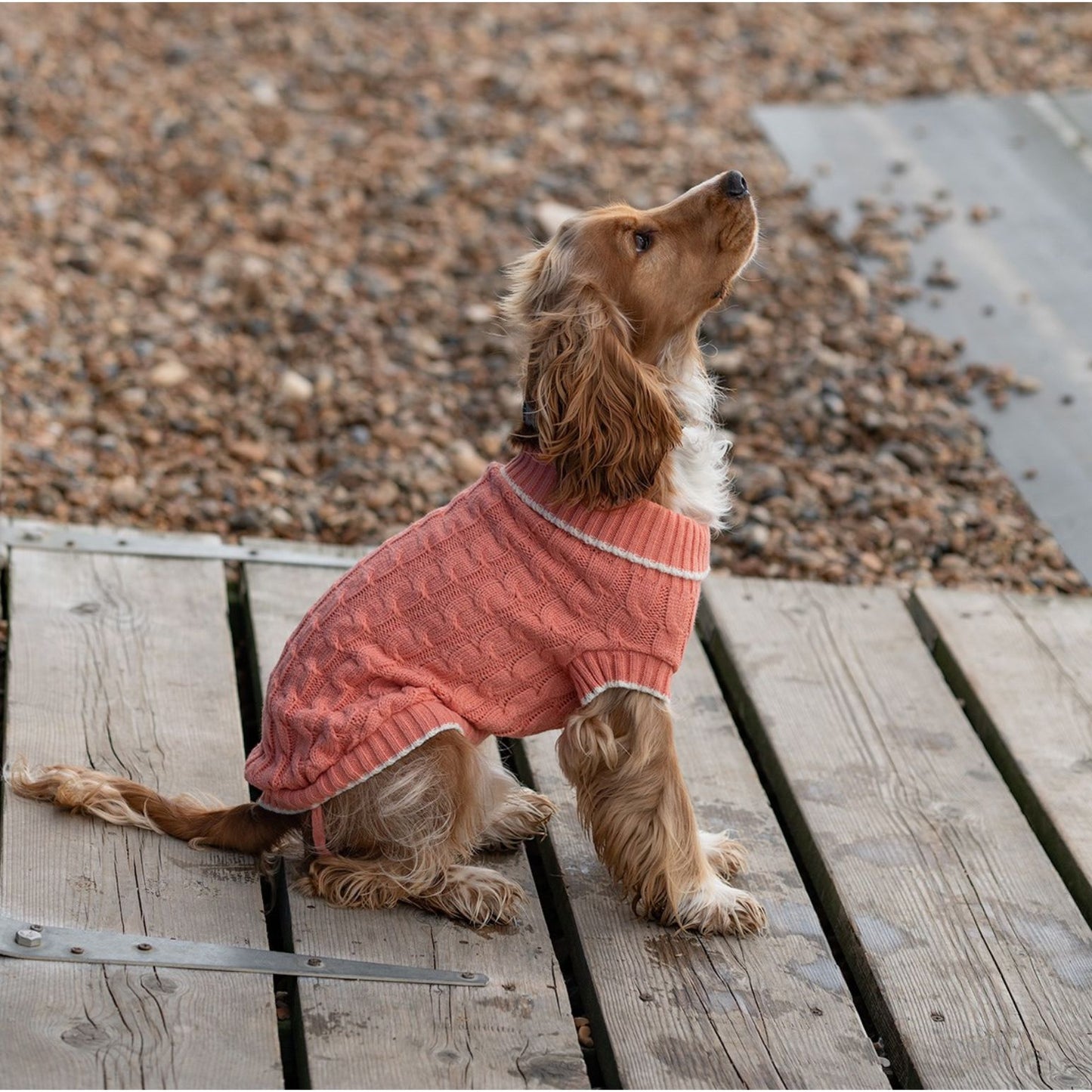 Penrose Dog Sweater Peach 20cm