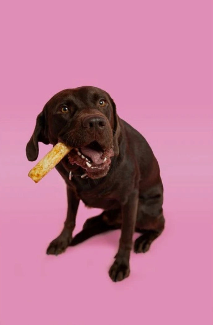 Pawtential Large Salmon Flavoured Collagen Dog Chew