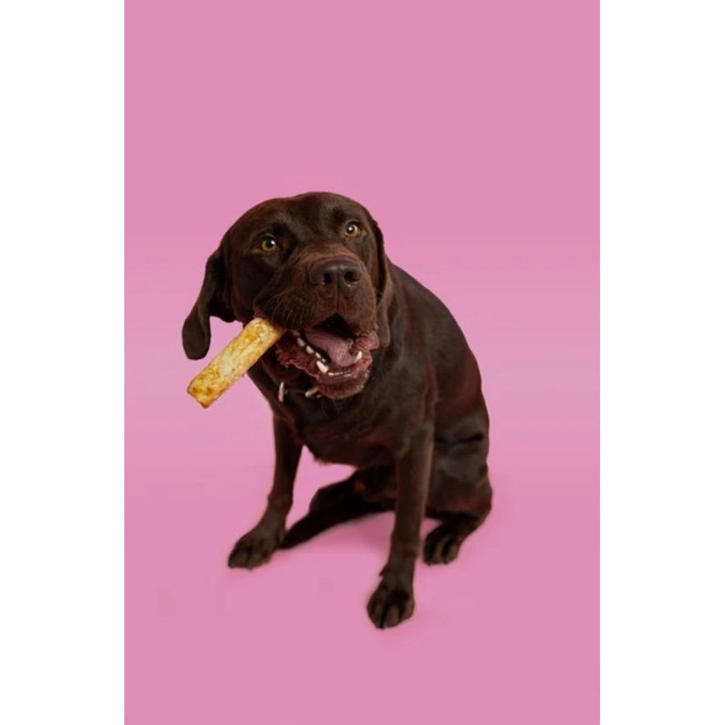 Pawtential Large Salmon Flavoured Collagen Dog Chew