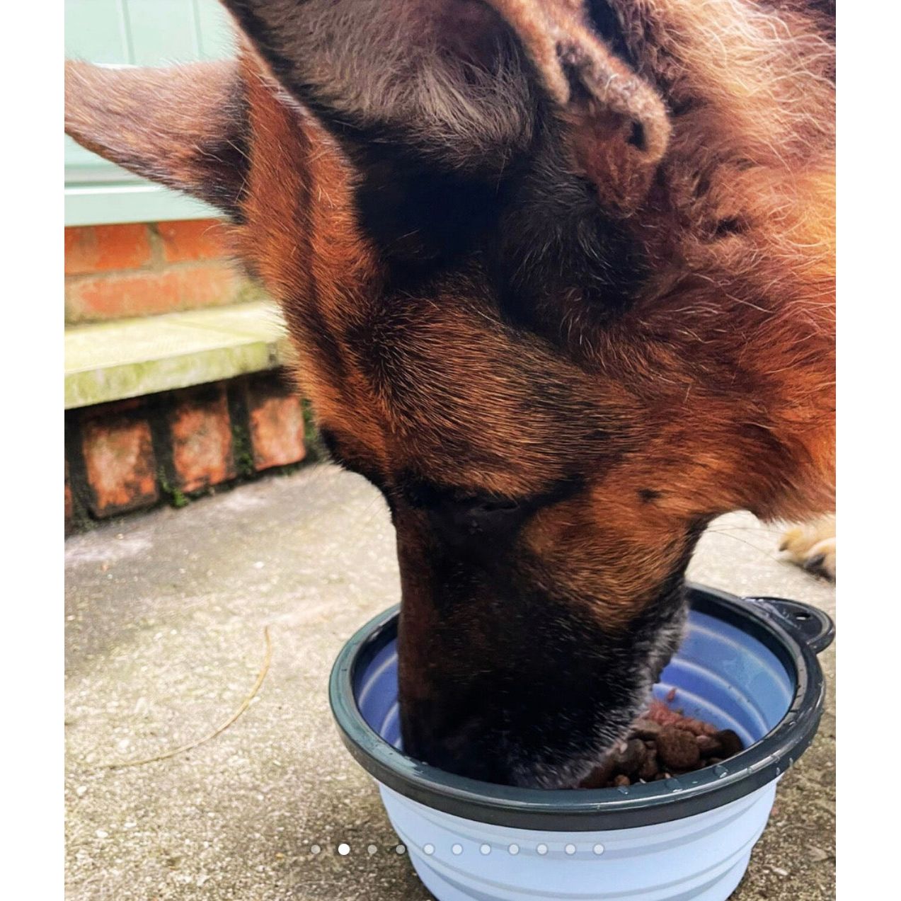 Henry Wag Travel Bowl - 750ml Origin Pets Longton