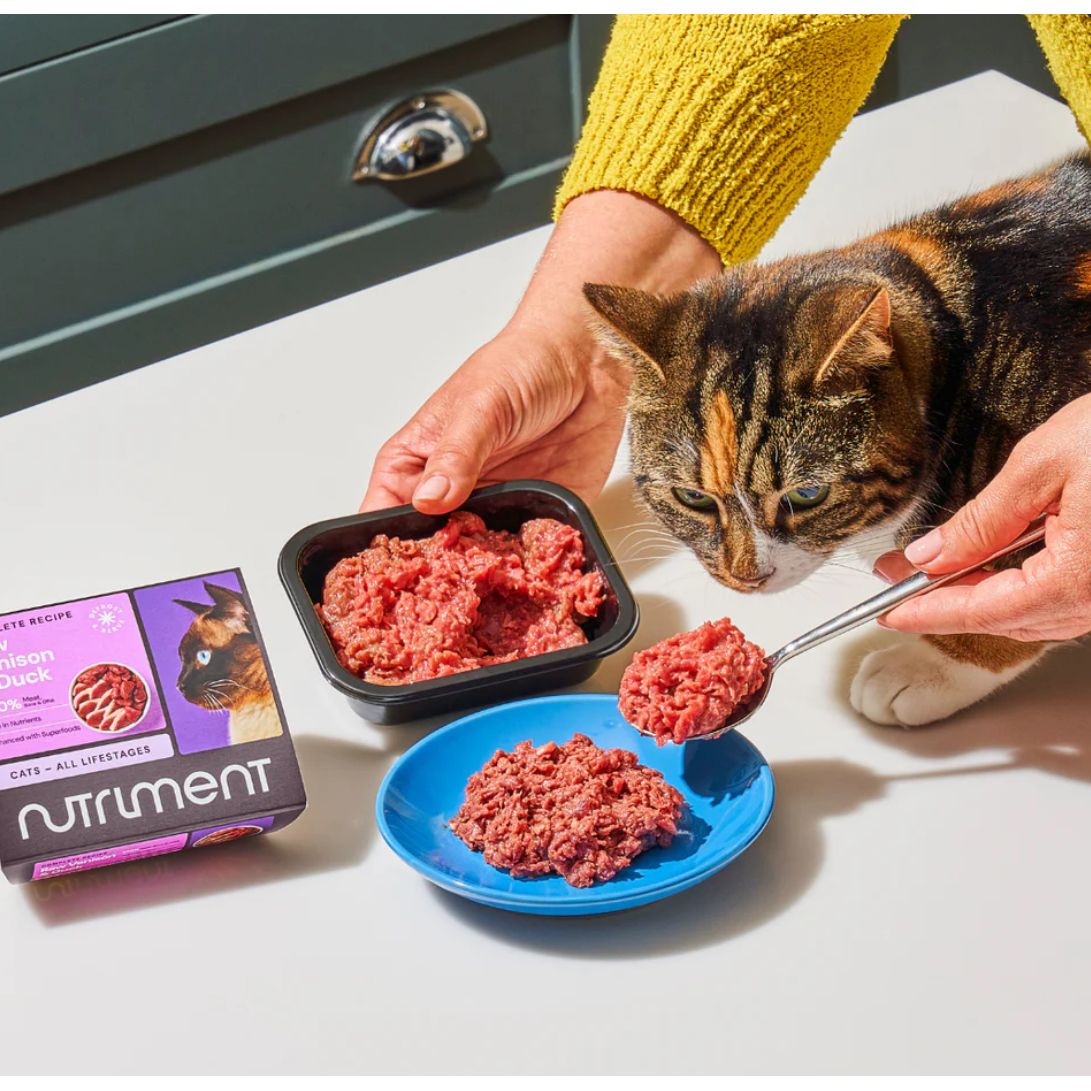 Nutriment Cat Raw Beef 500g