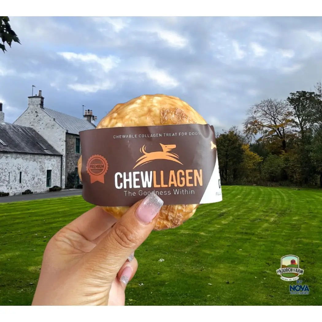 Chewllagen Chicken Small Doughnut Dog Chew Chewllagen