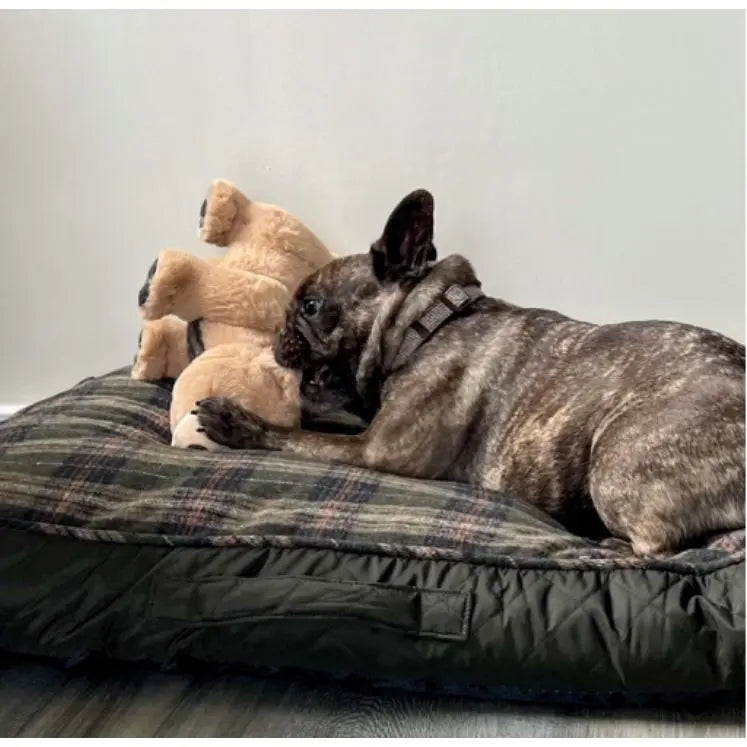 Ancol Heritage Tartan Bear Origin Pets Longton