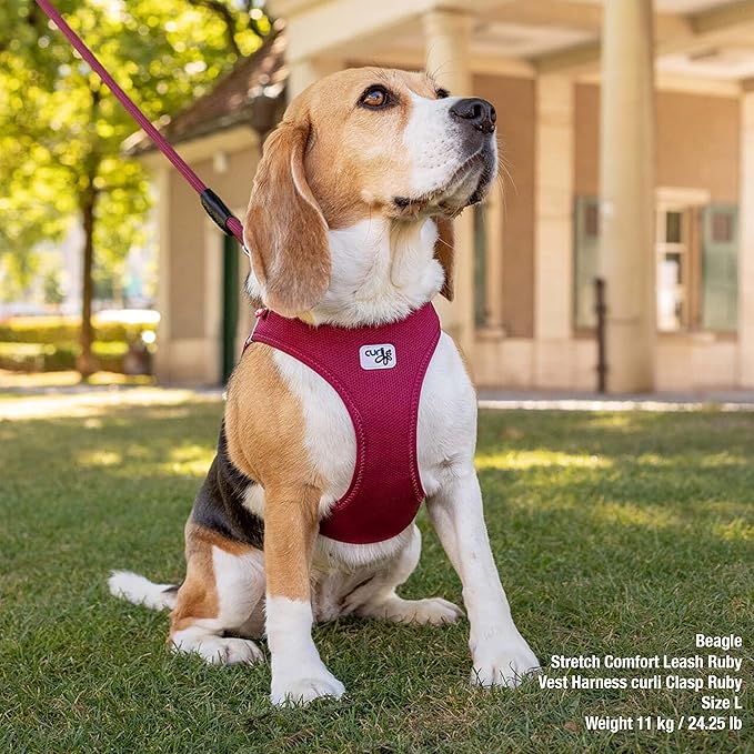 Curli Vest Step In Harness Clasp Air-Mesh Ruby 2XS Curli