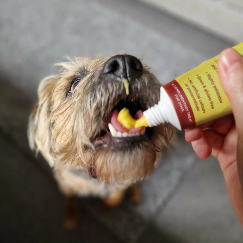 Jr Pets Cheese Paste Dog Treat 75g JR Pets