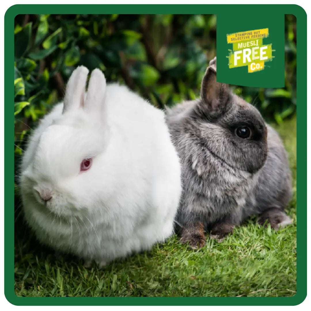 Burgess Excel Rabbit Food Junior Mint 3kg