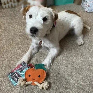 Green And Wilds Sancho The Satsuma Dog Toy
