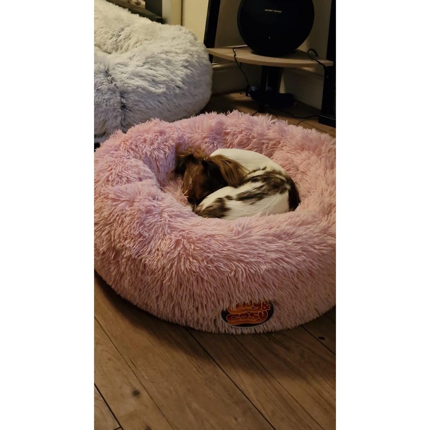 Snug & Cosy Anti Anxiety Donut Pet Dog Puppy Bed