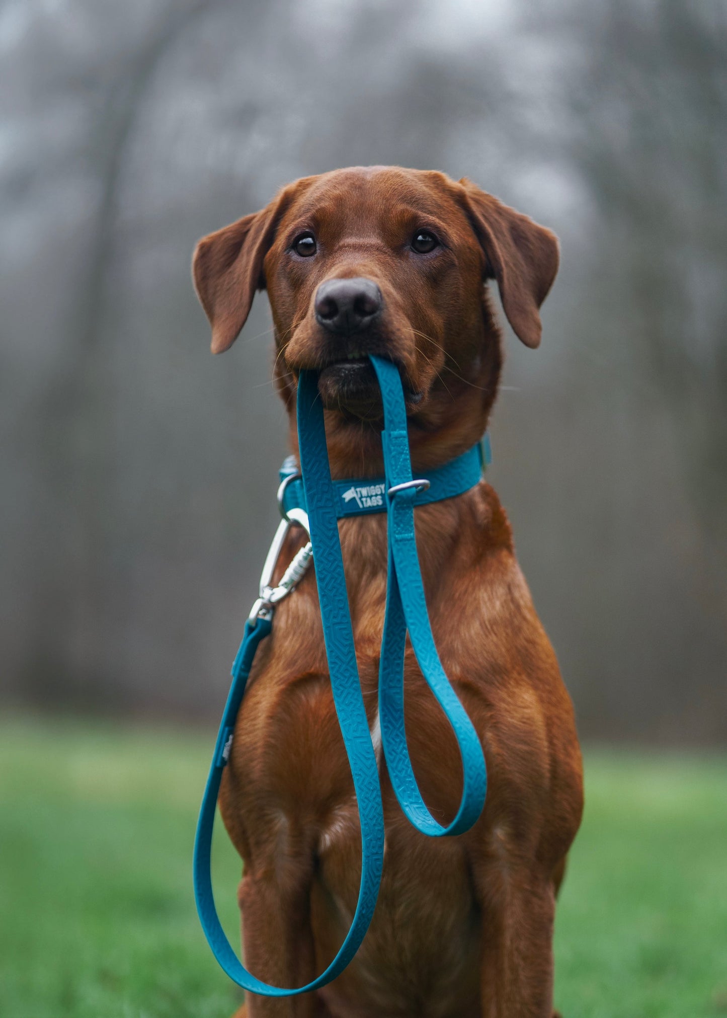 Twiggy Tags Tidal Waterproof Lead Azure 4ft