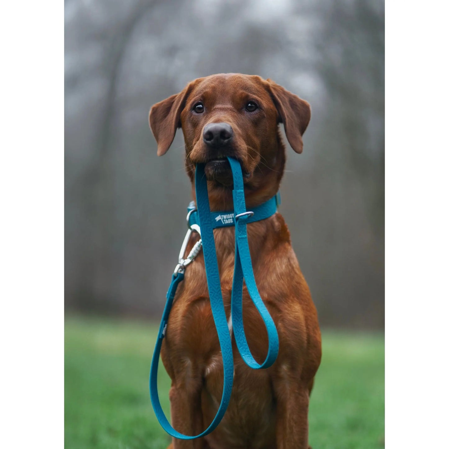 Twiggy Tags Tidal Waterproof Lead Azure 4ft Twiggy Tags