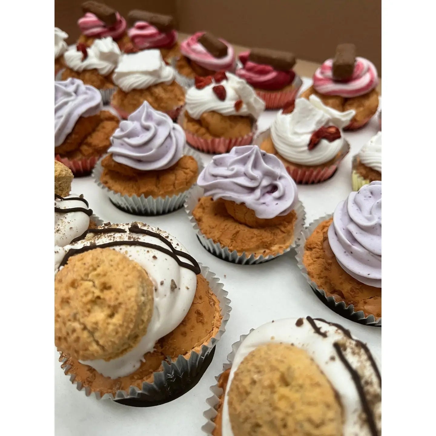 Luxury Pupcakes - Assorted Flavours Origin Pets Longton