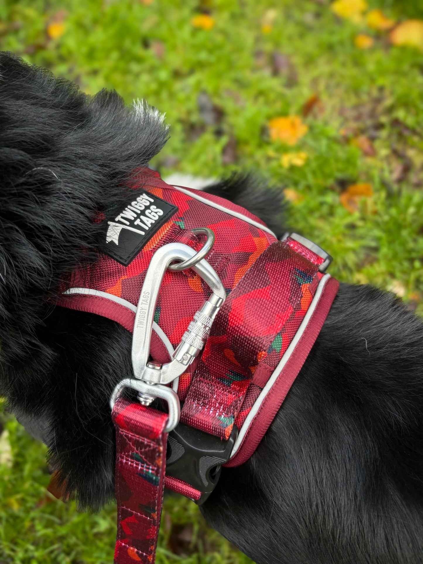 Twiggy Tags Close Control Lead - Alpenglow
