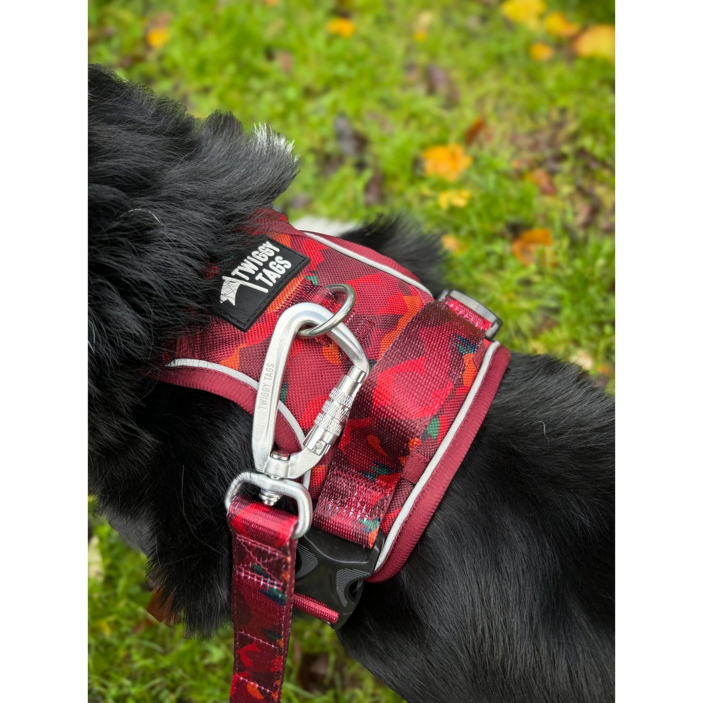 Twiggy Tags Close Control Lead - Alpenglow
