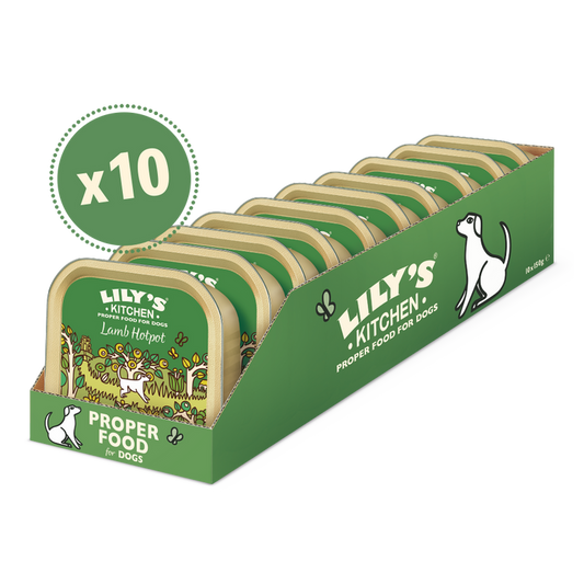 Lily’s Kitchen Lamb Hotpot 10x150g Wet Food