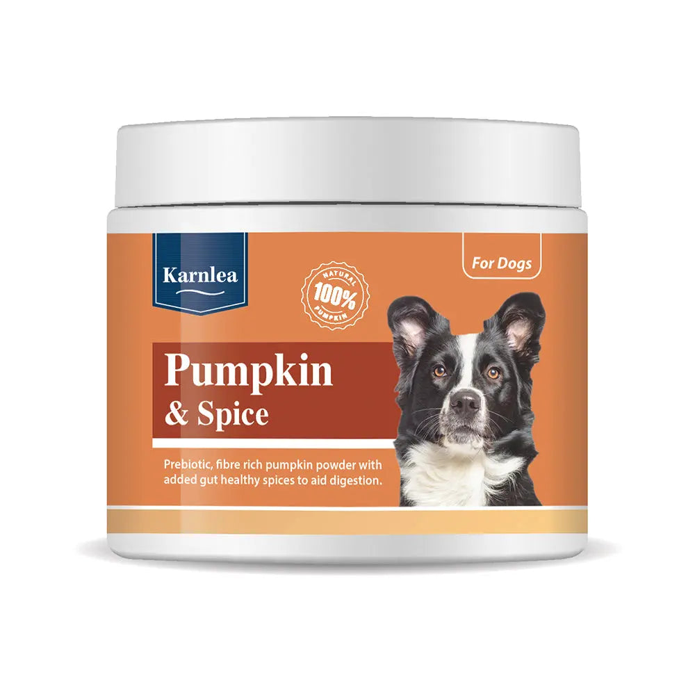 Karnlea Pumpkin & Spice Powder For Dogs 200g Karnlea
