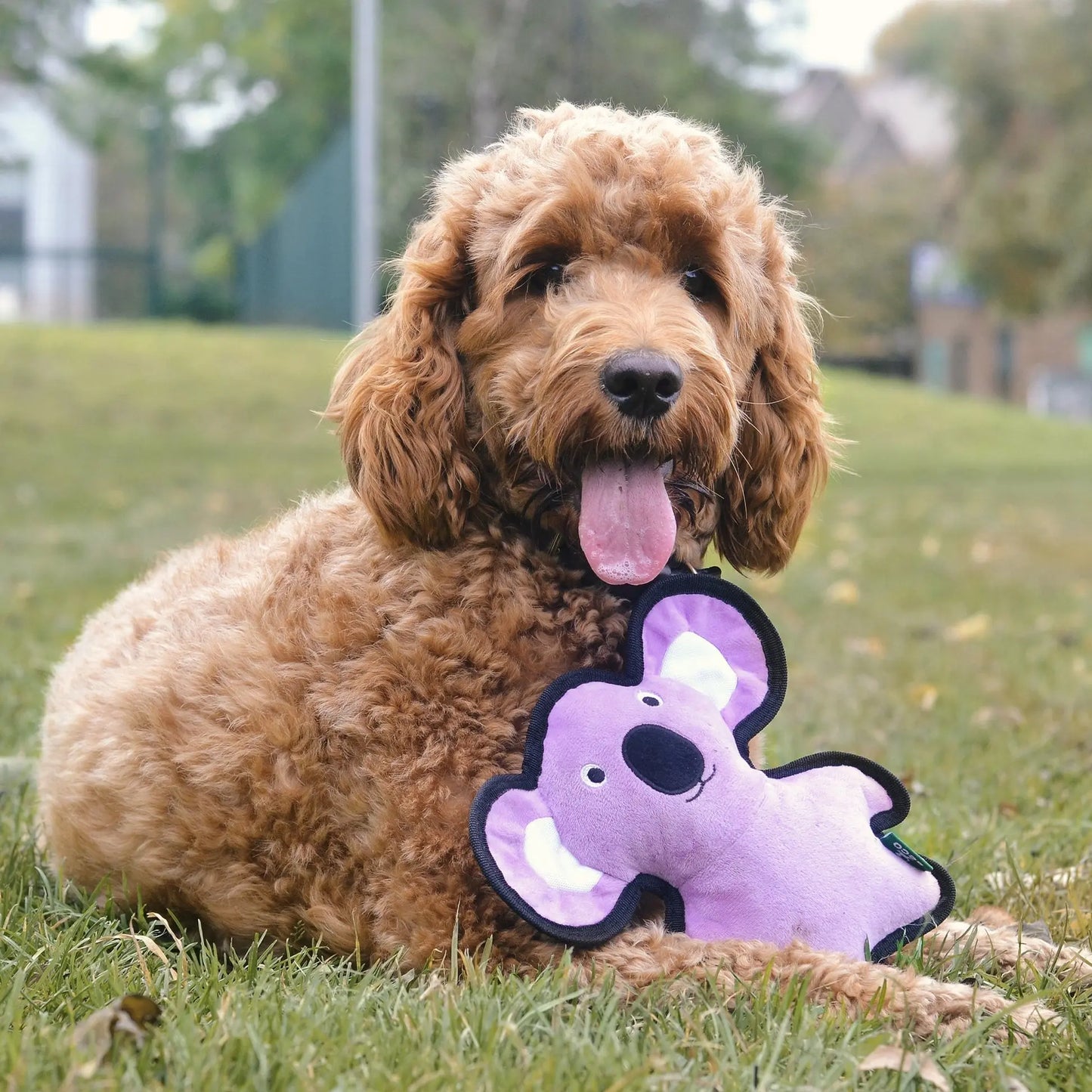 Beco Recycled Rough & Tough Koala Dog Toy Beco