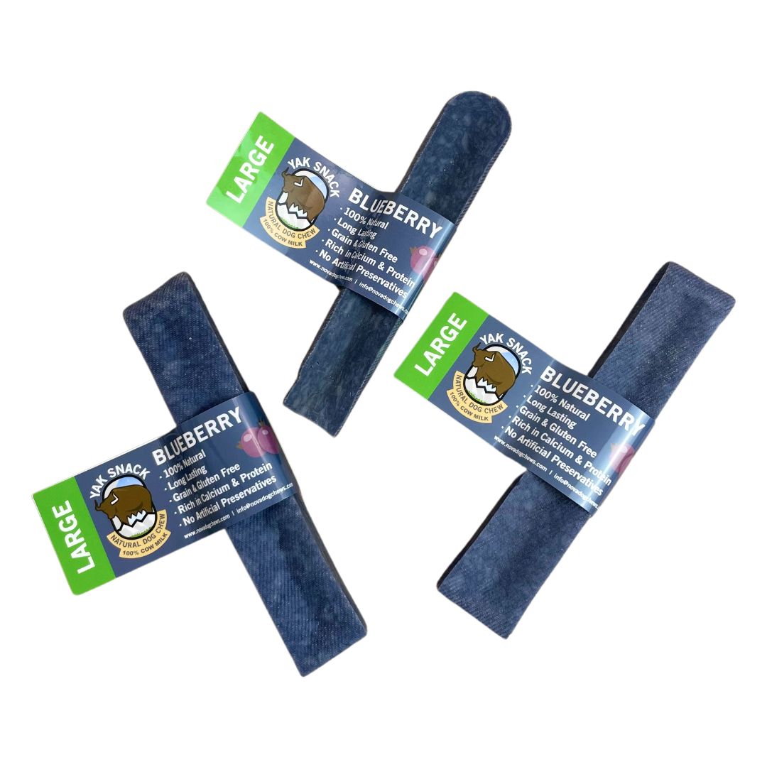 Blueberry Yak Dog Chew by Nova – Natural, Long-Lasting Treat for Dogs