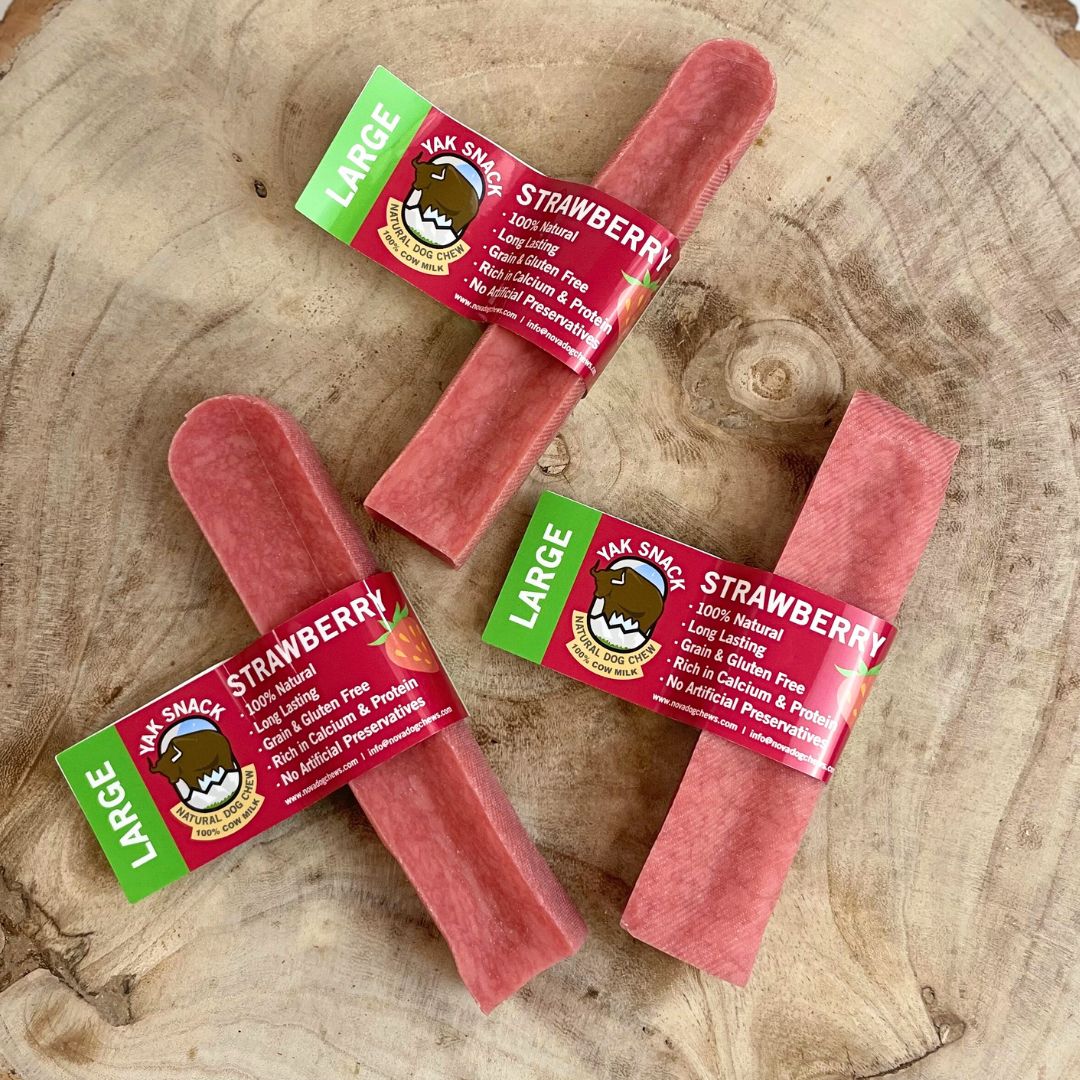 Nova Strawberry Yak Dog Treat - Large