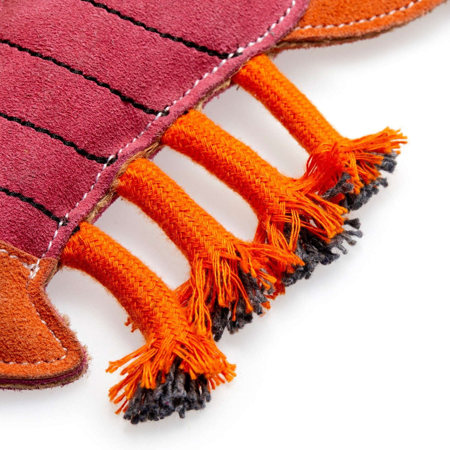 Larry the Lobster, Eco Dog Toy