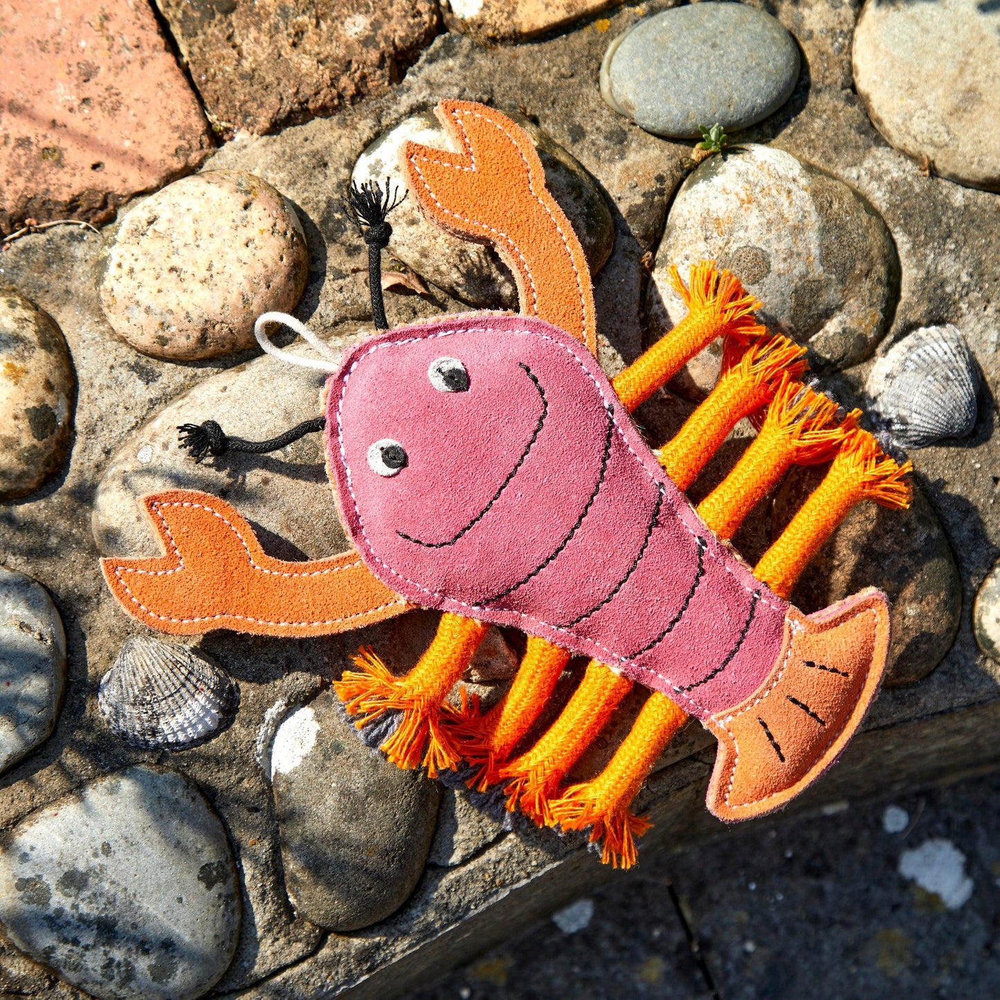 Larry the Lobster, Eco Dog Toy