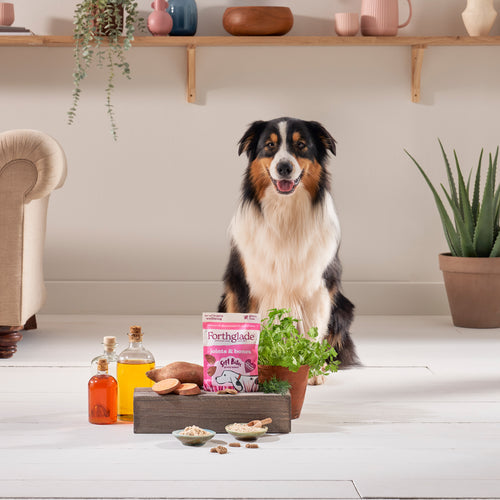 Forthglade Joints & bones salmon oil dog treats