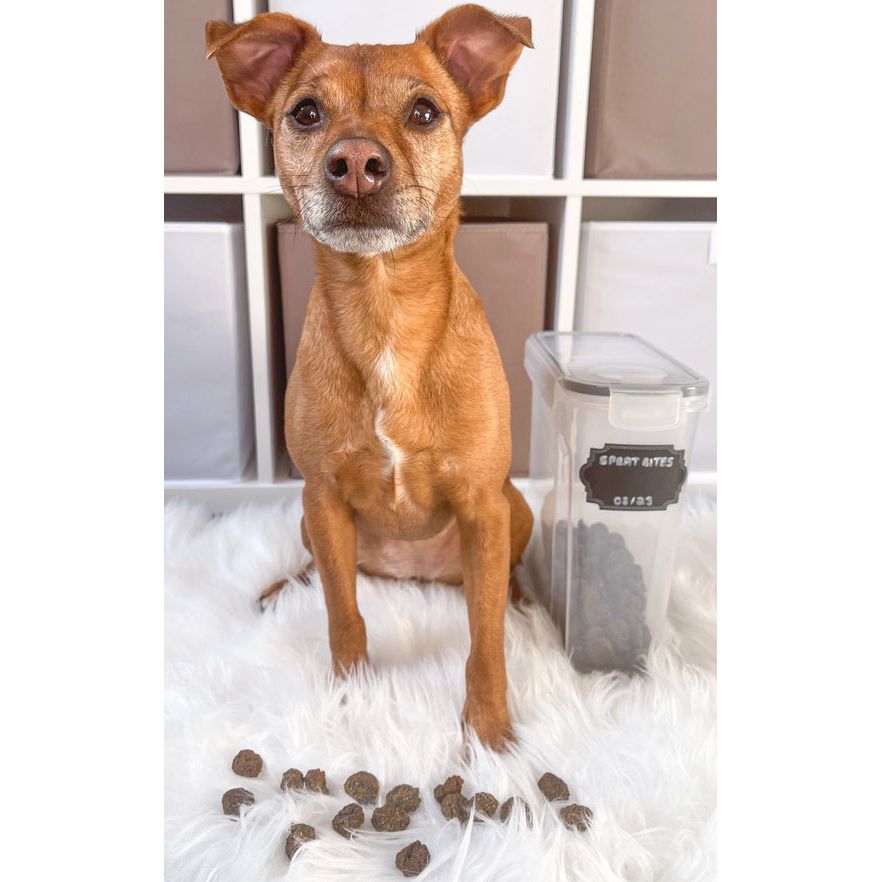 Sprat Bites - Dog Treat - 200g