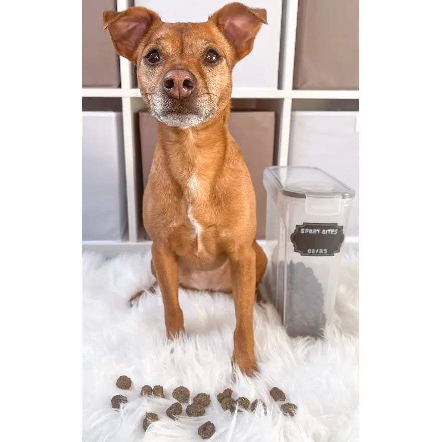Sprat Bites - Dog Treat - 200g JR Pets