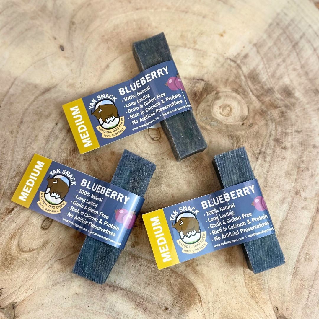 Blueberry Yak Dog Chew by Nova – Natural, Long-Lasting Treat for Dogs