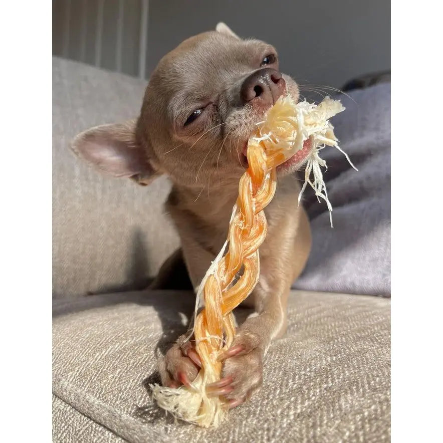 Braided Ostrich - SIngle JR Pet Products