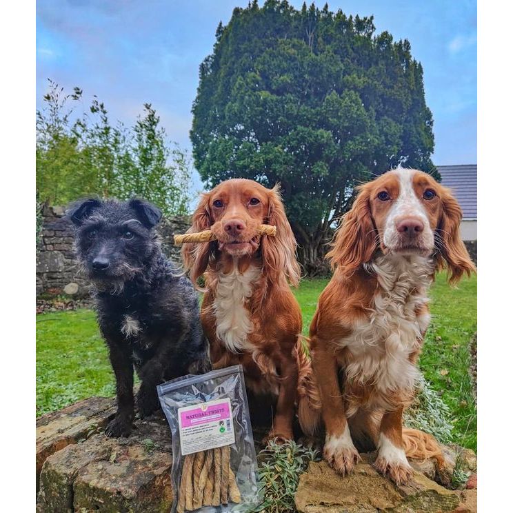 Natural Twists Dog Treat 100g