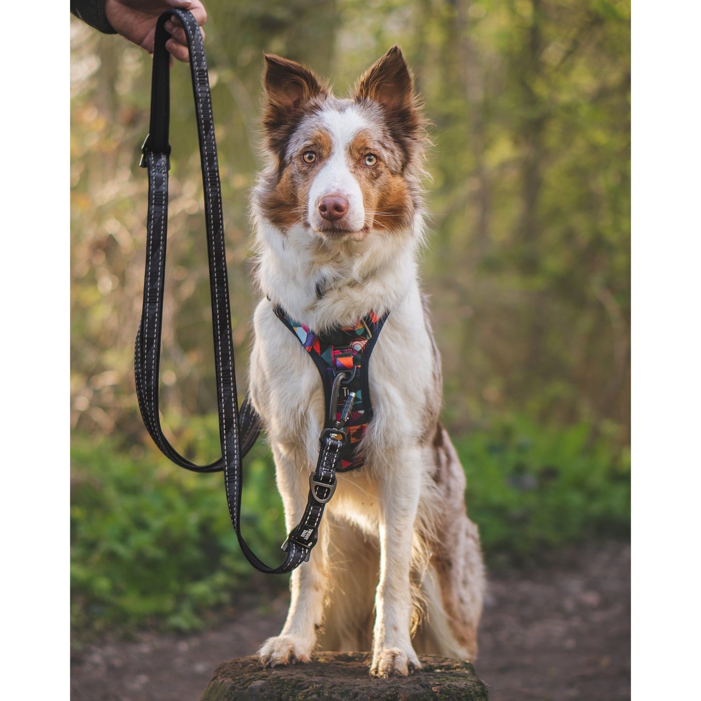 Twiggy Tags Multi-Way Lead - Onyx