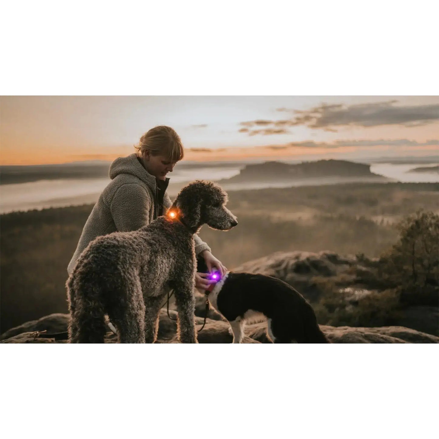 Orbiloc "The Safety Light" Dog Light Orbiloc