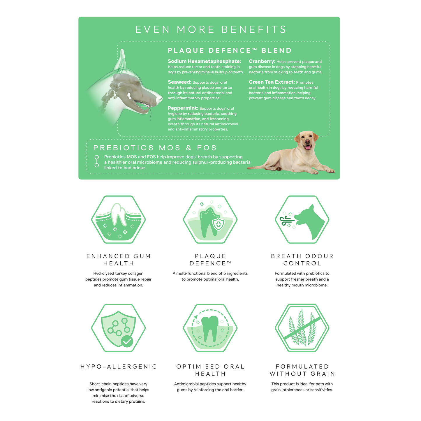 Origin Pets Grain Free Dental Care Adult Dog Food 1.5kg Origin Pets Longton
