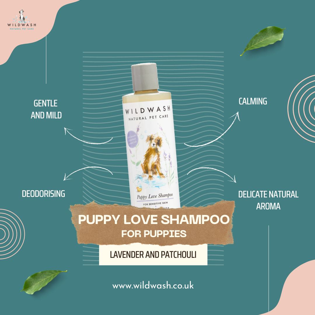 WildWash Puppy Love puppy shampoo bottle