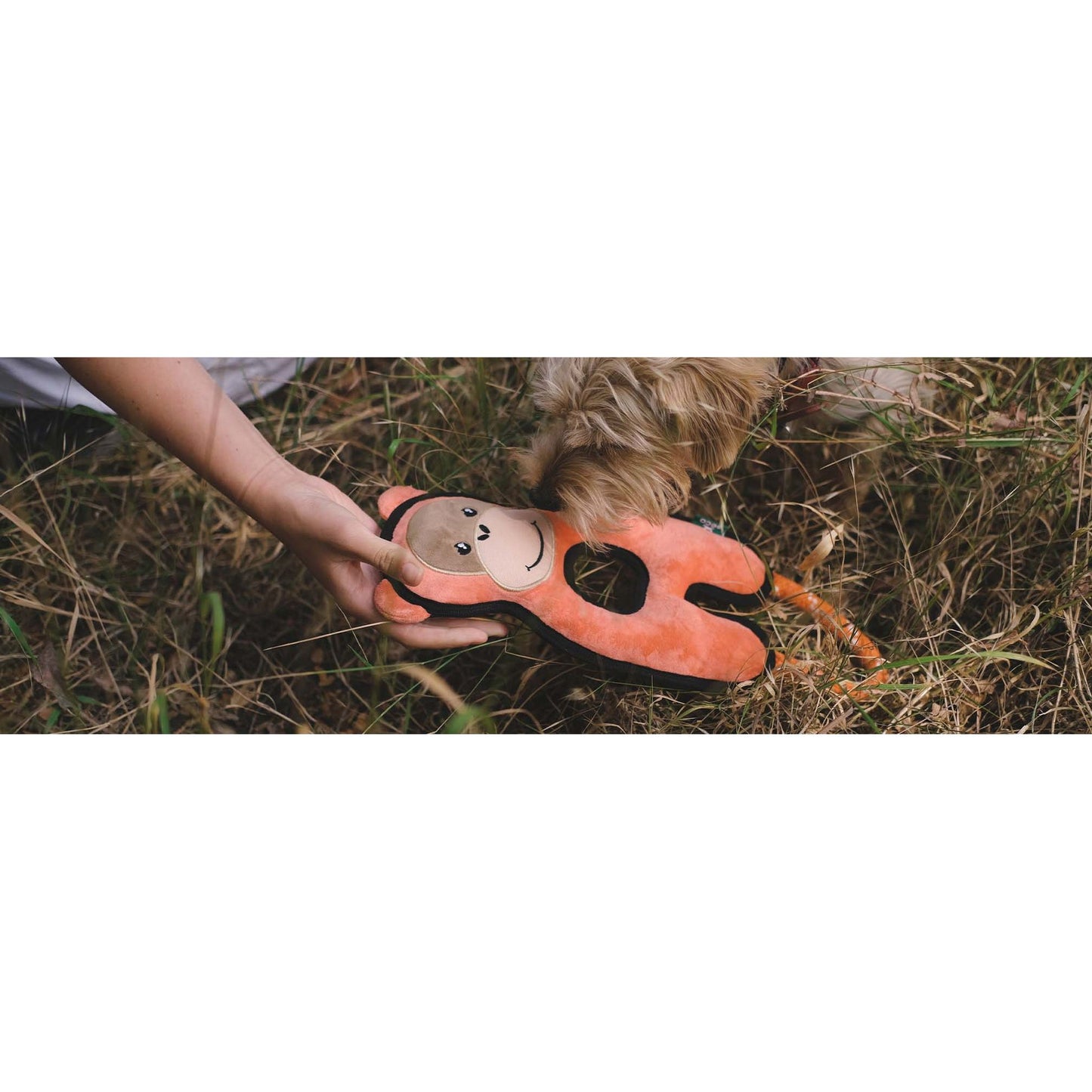 Beco Rough & Tough Recycled Orangutan - Dog Toy - Large