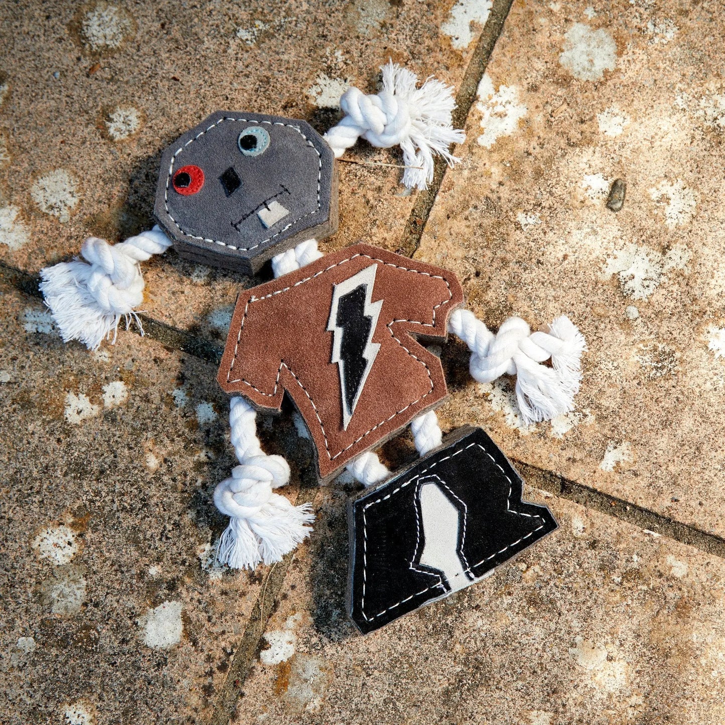 I Am A Robot Dog Toy Green & Wild's