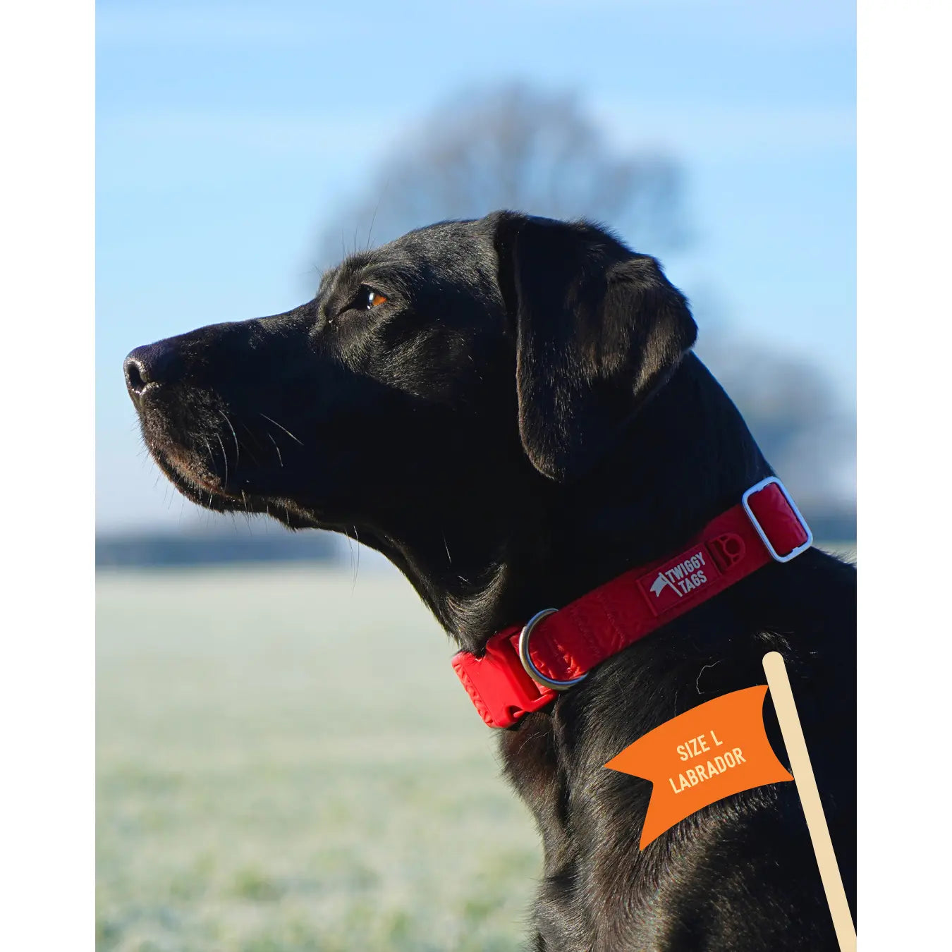 Twiggy Tags Tidal Waterproof Collar - Fresia L 44-66cm Twiggy Tags